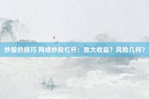 炒股的技巧 网络炒股杠杆：放大收益？风险几何？