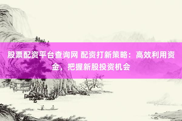 股票配资平台查询网 配资打新策略：高效利用资金，把握新股投资机会