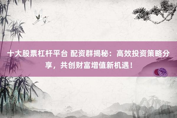 十大股票杠杆平台 配资群揭秘：高效投资策略分享，共创财富增值新机遇！