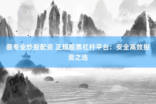 最专业炒股配资 正规股票杠杆平台：安全高效投资之选