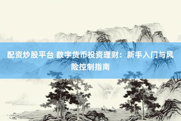 配资炒股平台 数字货币投资理财：新手入门与风险控制指南