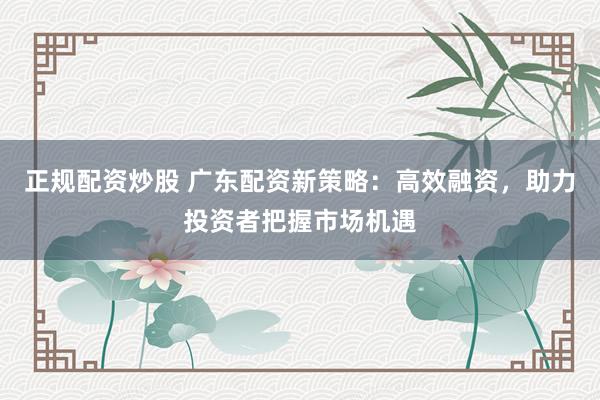 正规配资炒股 广东配资新策略：高效融资，助力投资者把握市场机遇