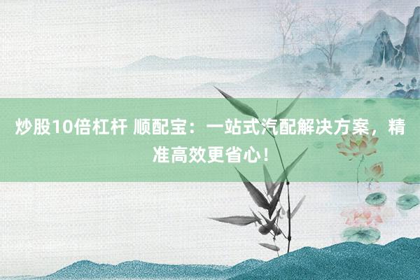 炒股10倍杠杆 顺配宝：一站式汽配解决方案，精准高效更省心！