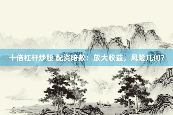 十倍杠杆炒股 配资陪数：放大收益，风险几何？