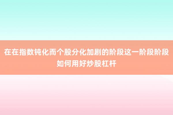 在在指数钝化而个股分化加剧的阶段这一阶段阶段如何用好炒股杠杆