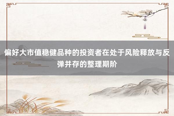 偏好大市值稳健品种的投资者在处于风险释放与反弹并存的整理期阶