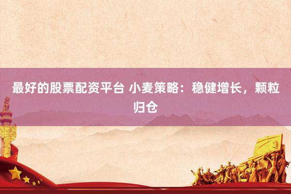 最好的股票配资平台 小麦策略：稳健增长，颗粒归仓